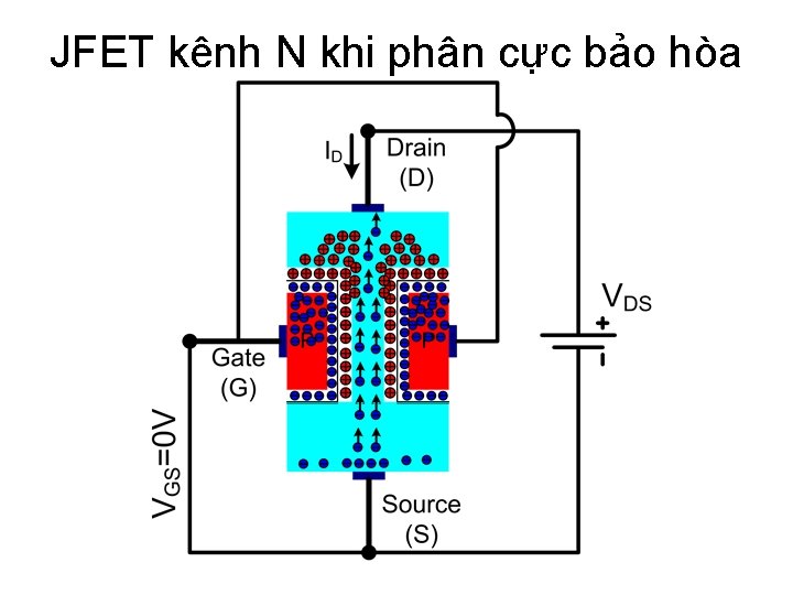 JFET kênh N khi phân cực bảo hòa 