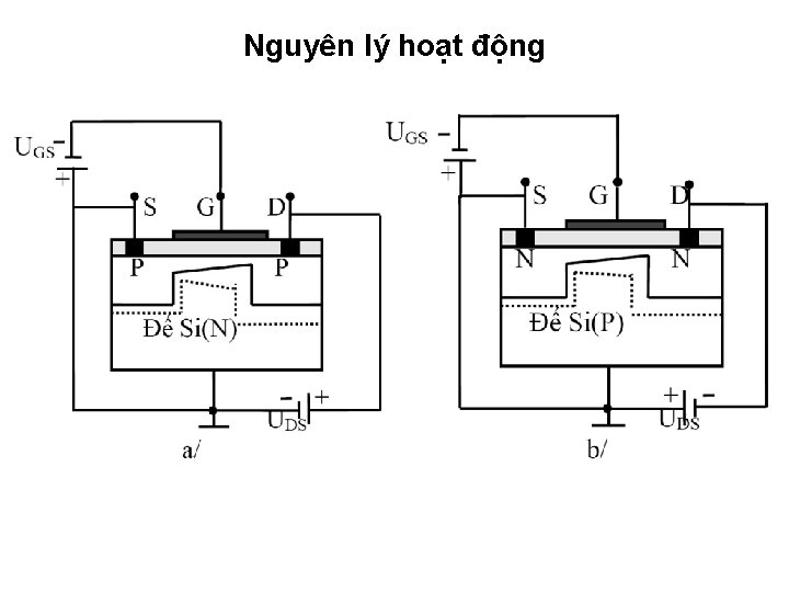 Nguyên lý hoạt động 