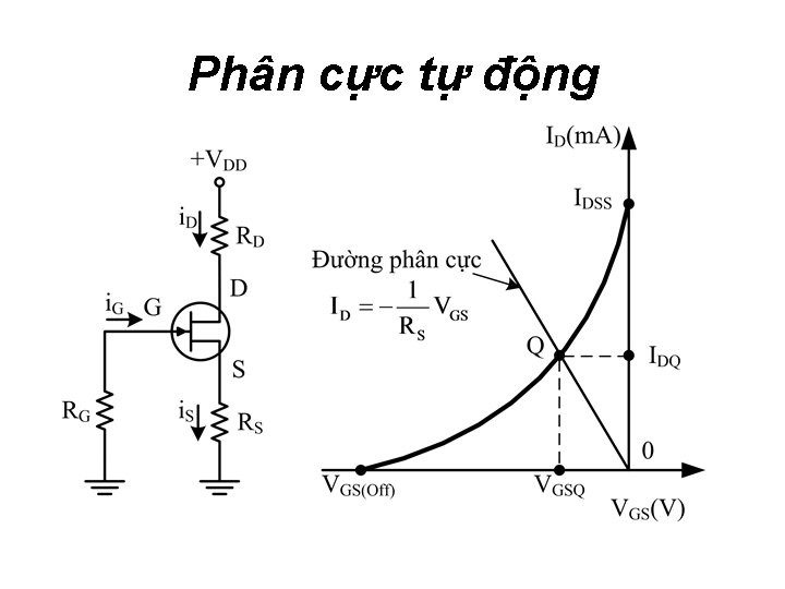 Phân cực tự động 