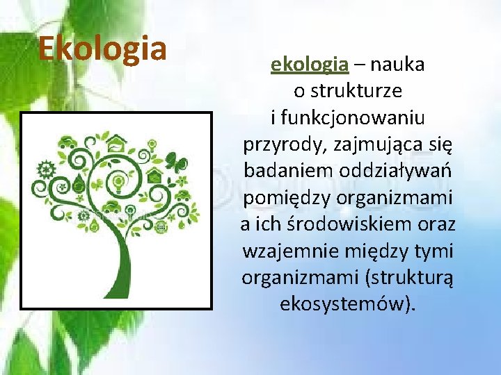 Ekologia ekologia – nauka o strukturze i funkcjonowaniu przyrody, zajmująca się badaniem oddziaływań pomiędzy