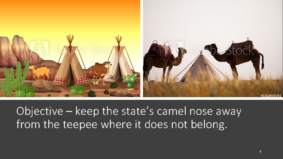 Objective – keep the state’s camel nose away from the teepee where it does