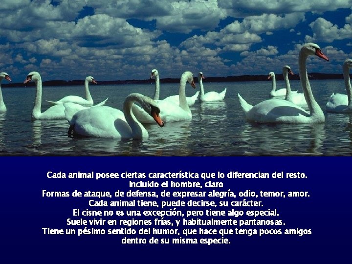 Cada animal posee ciertas característica que lo diferencian del resto. Incluido el hombre, claro