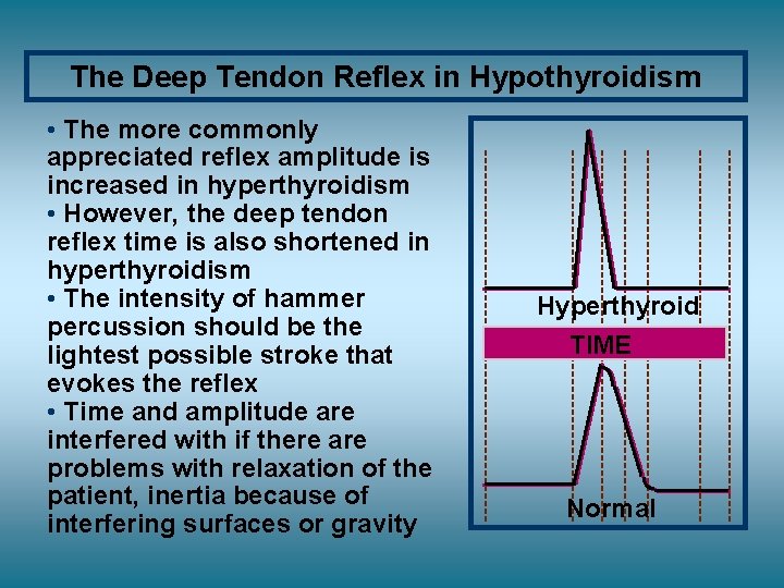 The Deep Tendon Reflex in Hypothyroidism • The more commonly appreciated reflex amplitude is