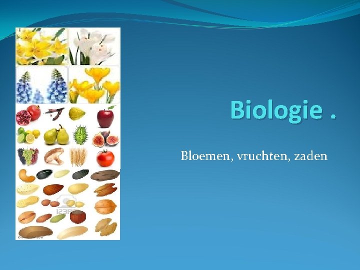 Biologie. Bloemen, vruchten, zaden 