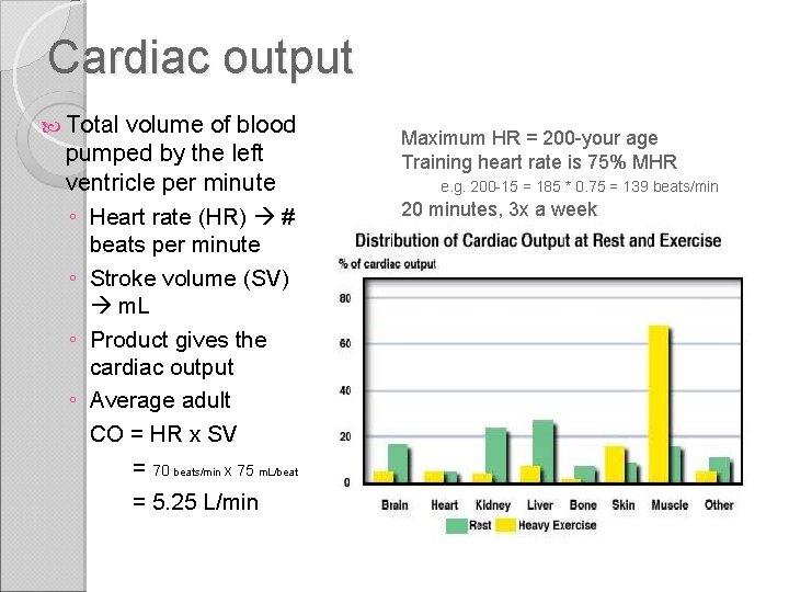 Cardiac output Total volume of blood pumped by the left ventricle per minute ◦
