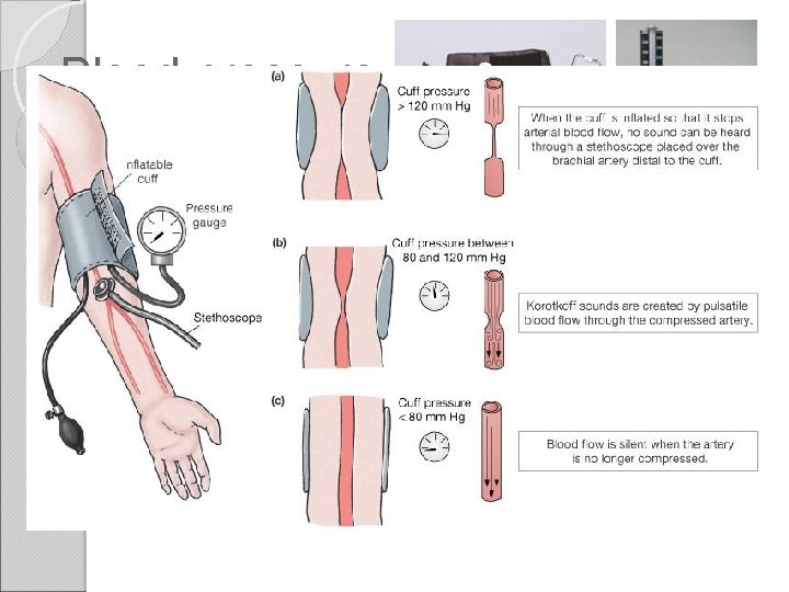 Blood pressure Force exerted by blood on walls of vessels Pressure decreases from arteries