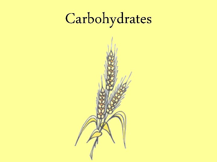 Carbohydrates 