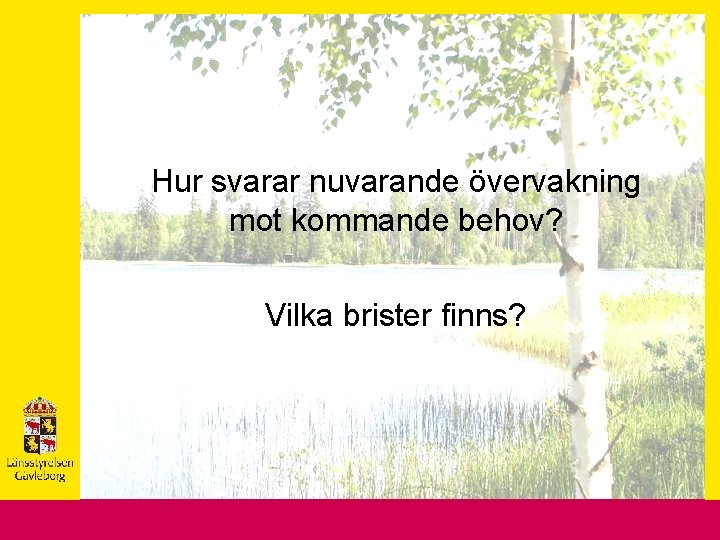 Hur svarar nuvarande övervakning mot kommande behov? Vilka brister finns? 