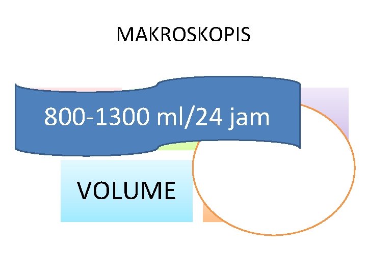 MAKROSKOPIS KEJERNIHAN 800 -1300 DAN WARNA p. H ml/24 jam VOLUME BAU BERAT JENIS