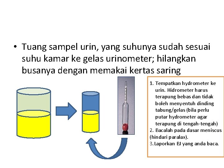  • Tuang sampel urin, yang suhunya sudah sesuai suhu kamar ke gelas urinometer;