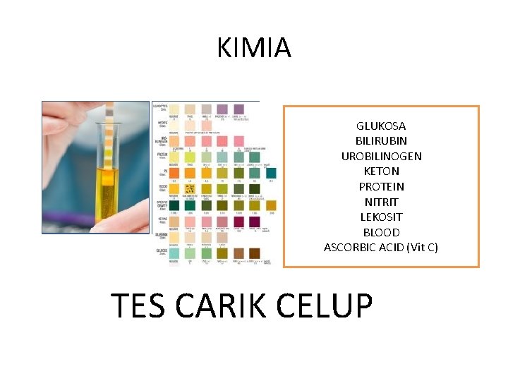 KIMIA GLUKOSA BILIRUBIN UROBILINOGEN KETON PROTEIN NITRIT LEKOSIT BLOOD ASCORBIC ACID (Vit C) TES