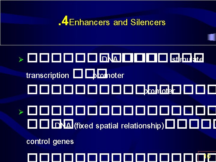 . 4 Enhancers and Silencers Ø Ø ������ DNA ������� stimulate transcription ��� promoter