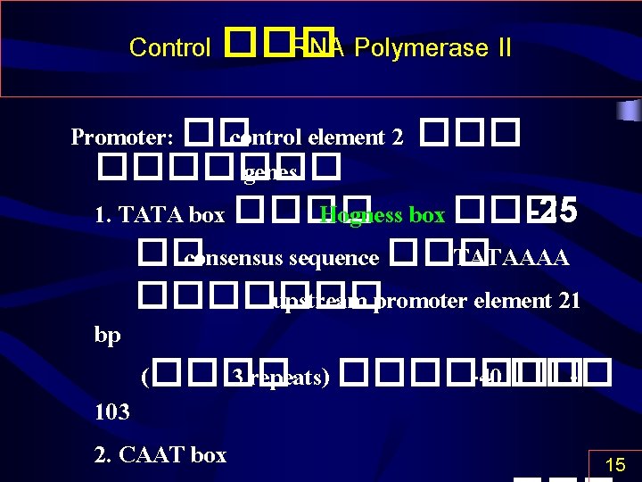 Control ��� RNA Polymerase II Promoter: �� control element 2 ������� genes 1. TATA