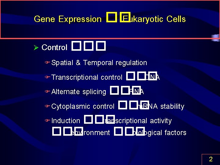 Gene Expression �� Eukaryotic Cells Ø Control ��� Spatial & Temporal regulation F Transcriptional