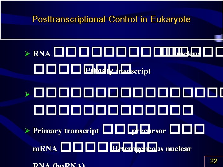 Posttranscriptional Control in Eukaryote Ø Ø Ø RNA �������� �� nucleus ���� Primary transcript