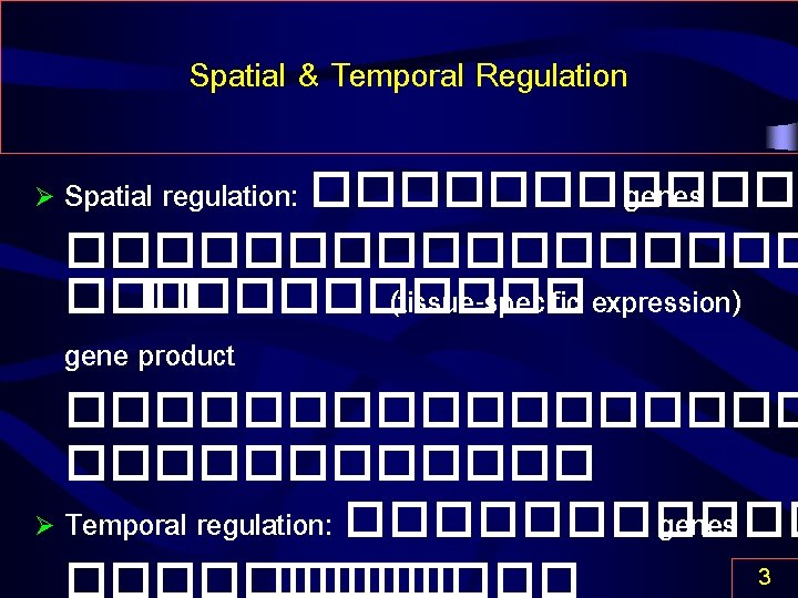 Spatial & Temporal Regulation Spatial regulation: ������ genes ��������� (tissue-specific expression) gene product ���������