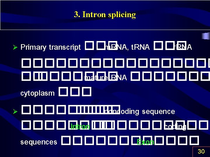 3. Intron splicing Ø Primary transcript ��� m. RNA, t. RNA ��� r. RNA