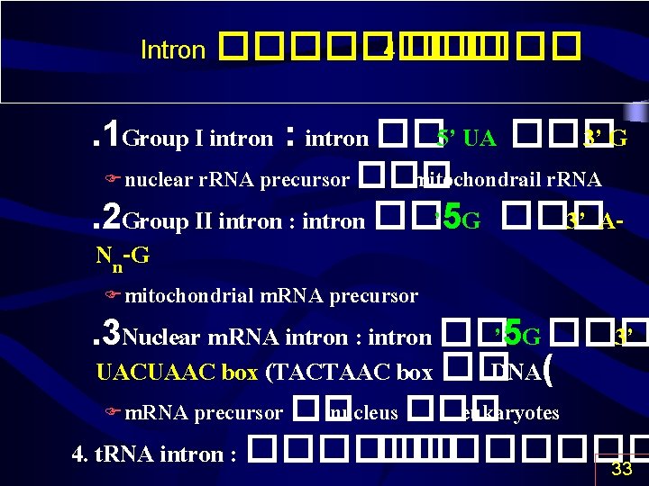 Intron ���� 4 �����. 1 Group I intron : intron �� 5’ UA ���