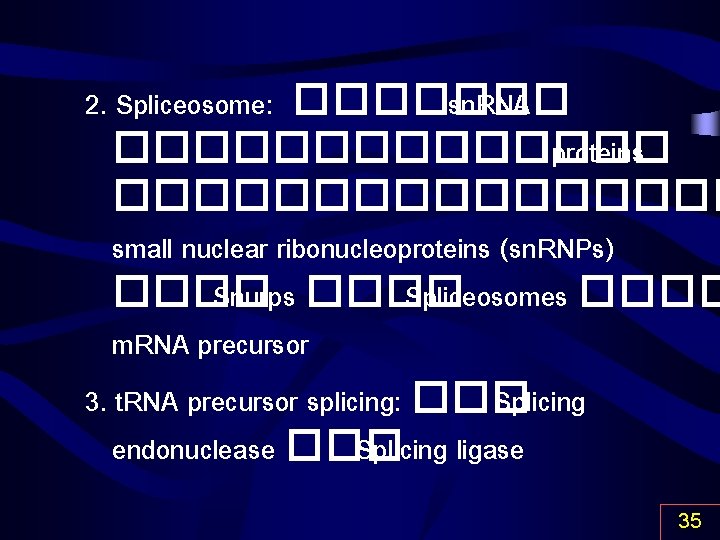 2. Spliceosome: ������� sn. RNA ������� proteins ������� small nuclear ribonucleoproteins (sn. RNPs) ����