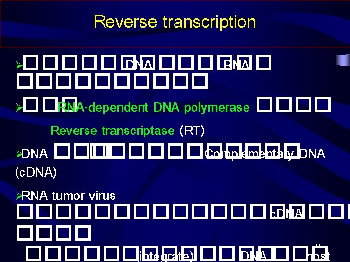 Reverse transcription ����� DNA ������ RNA ����� ��� Ø��� RNA-dependent DNA polymerase ���� Reverse