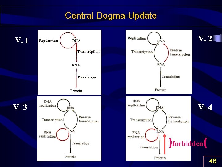 Central Dogma Update V. 1 V. 2 V. 3 V. 4 )forbidden( 46 