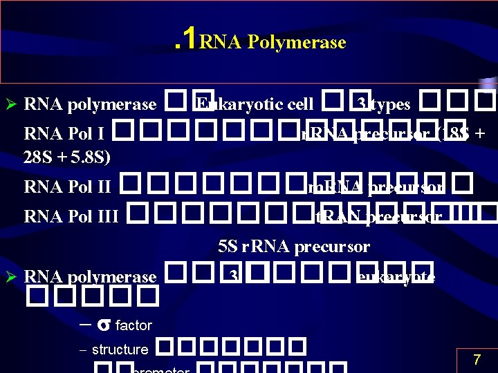 . 1 RNA Polymerase RNA polymerase �� Eukaryotic cell �� 3 types ��� RNA