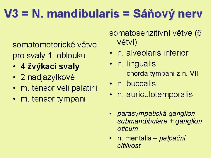 V 3 = N. mandibularis = Sáňový nerv somatomotorické větve pro svaly 1. oblouku V 3 = N. mandibularis = Sáňový nerv somatomotorické větve pro svaly 1. oblouku
