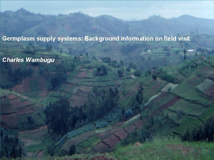 Germplasm supply systems: Background information on field visit Charles Wambugu 