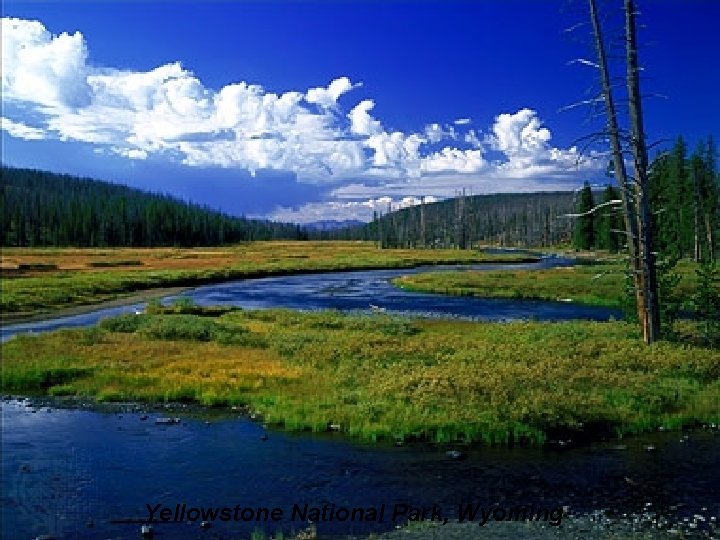 Yellowstone National Park, Wyoming 