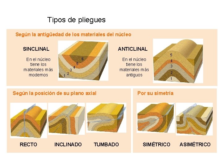 Tipos de pliegues Según la antigüedad de los materiales del núcleo ANTICLINAL SINCLINAL En