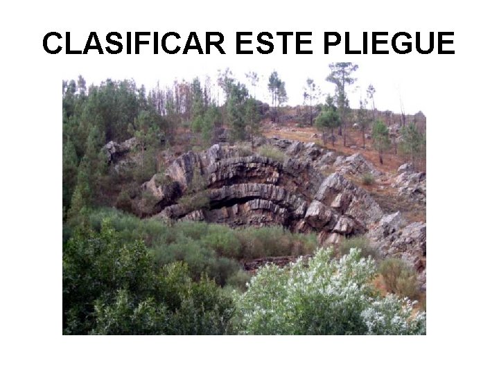 CLASIFICAR ESTE PLIEGUE 
