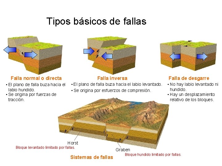 Tipos básicos de fallas Falla normal o directa • El plano de falla buza