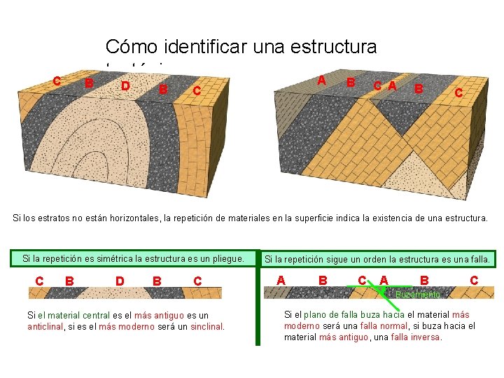 C B Cómo identificar una estructura tectónica A D B B C C A