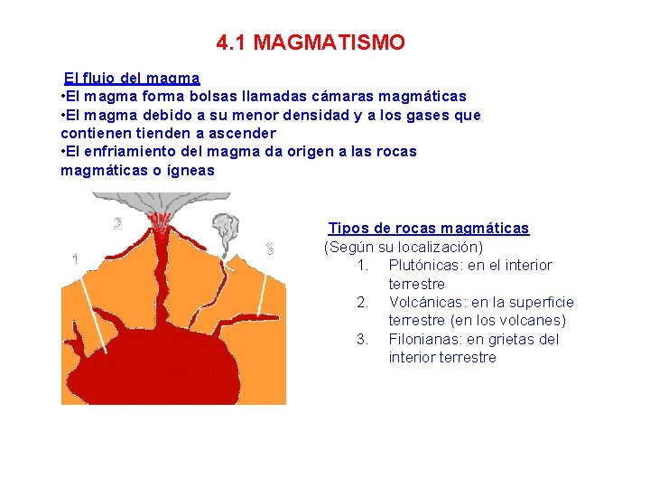 4. 1 MAGMATISMO El flujo del magma • El magma forma bolsas llamadas cámaras