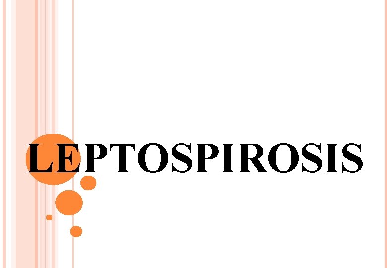 LEPTOSPIROSIS 