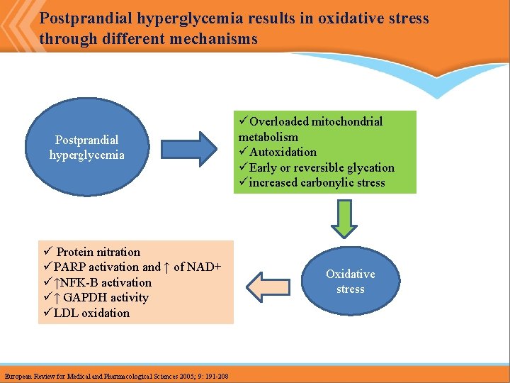 Postprandial hyperglycemia results in oxidative stress through different mechanisms Postprandial hyperglycemia ü Protein nitration