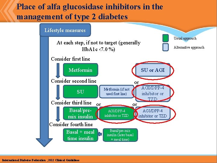 Place of alfa glucosidase inhibitors in the management of type 2 diabetes Lifestyle measures