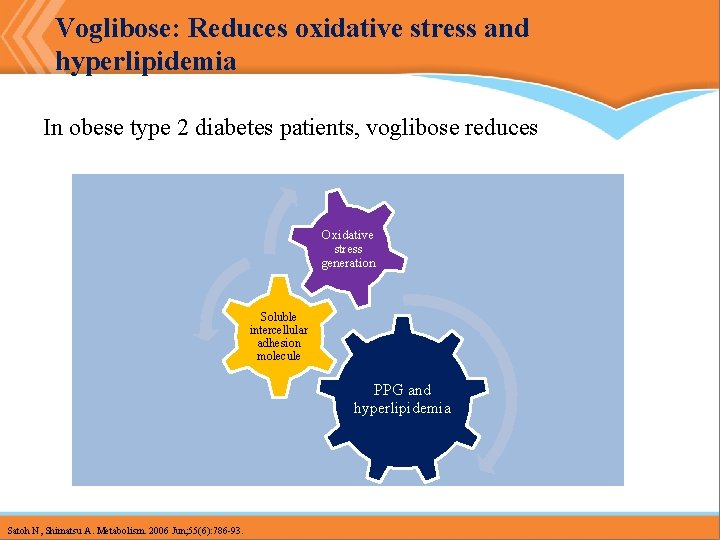 Voglibose: Reduces oxidative stress and hyperlipidemia In obese type 2 diabetes patients, voglibose reduces Voglibose: Reduces oxidative stress and hyperlipidemia In obese type 2 diabetes patients, voglibose reduces
