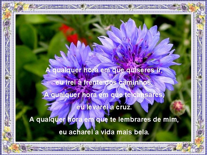 A qualquer hora em que quiseres ir, eu irei à frente dos caminhos. A