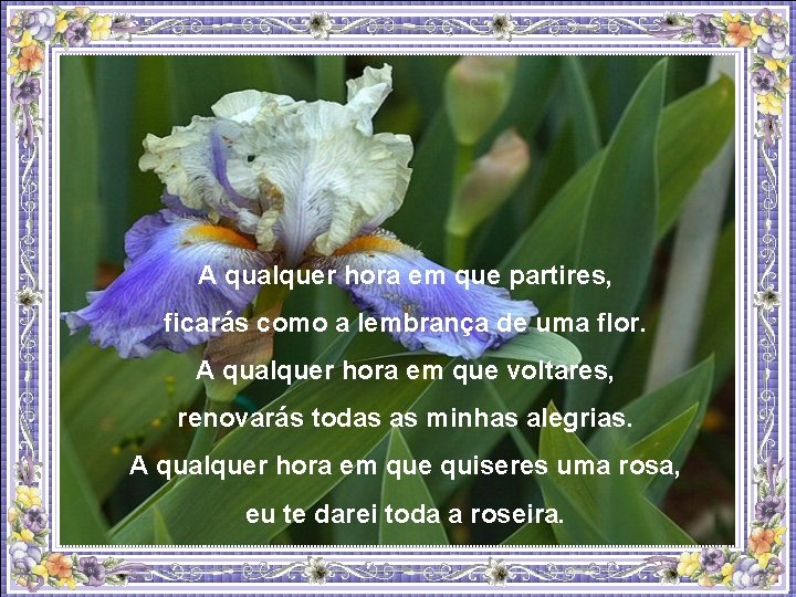 A qualquer hora em que partires, ficarás como a lembrança de uma flor. A
