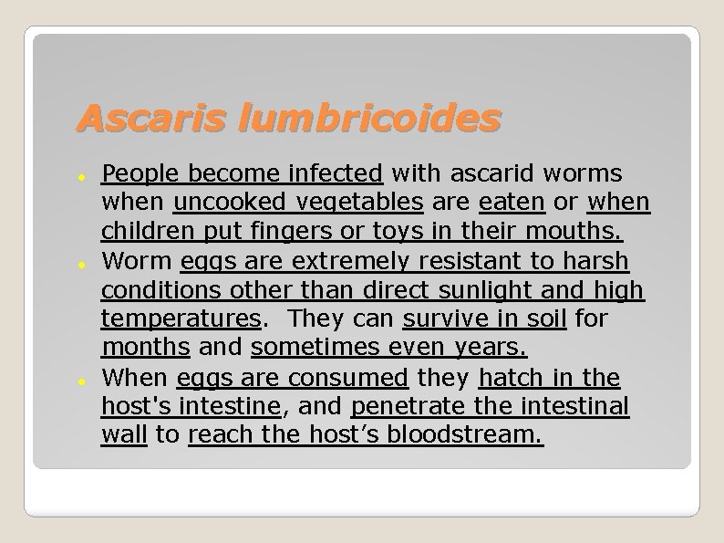 Ascaris lumbricoides People become infected with ascarid worms when uncooked vegetables are eaten or