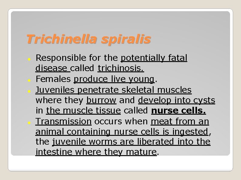 Trichinella spiralis Responsible for the potentially fatal disease called trichinosis. Females produce live young.
