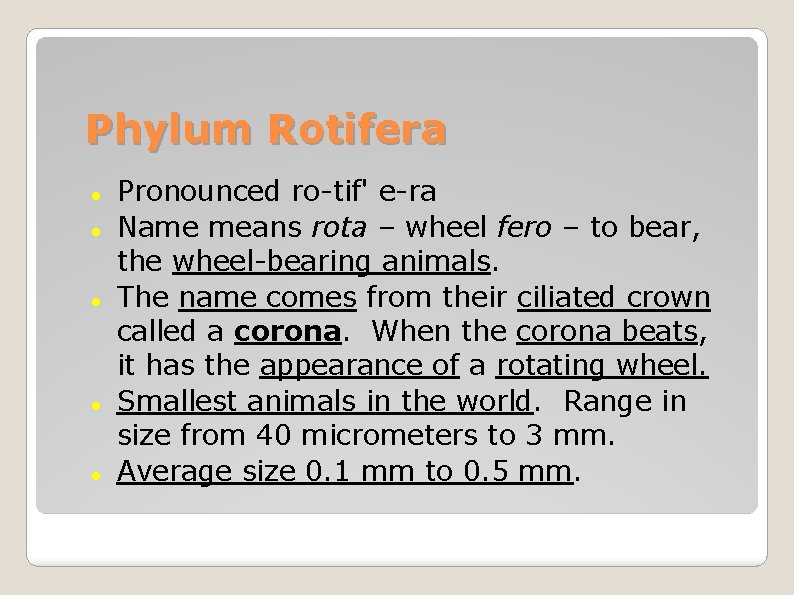 Phylum Rotifera Pronounced ro-tif' e-ra Name means rota – wheel fero – to bear,