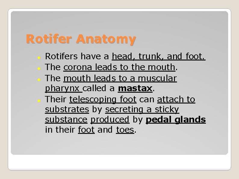 Rotifer Anatomy Rotifers have a head, trunk, and foot. The corona leads to the