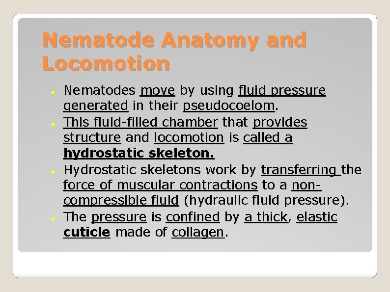 Nematode Anatomy and Locomotion Nematodes move by using fluid pressure generated in their pseudocoelom.