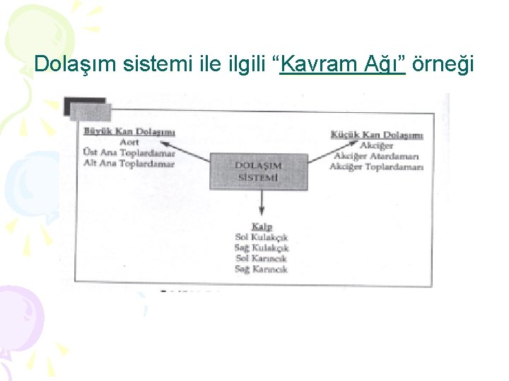 Dolaşım sistemi ile ilgili “Kavram Ağı” örneği 