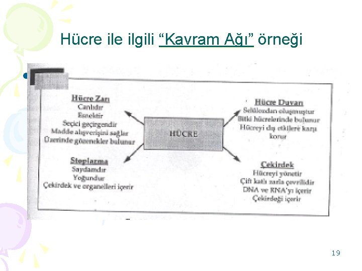 Hücre ilgili “Kavram Ağı” örneği • Taşkın 139 KA örneği 19 