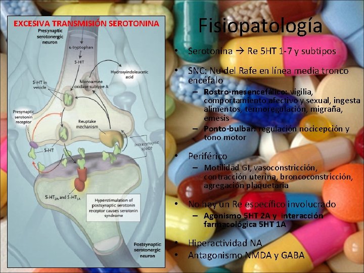 EXCESIVA TRANSMISIÓN SEROTONINA Fisiopatología • Serotonina Re 5 HT 1 -7 y subtipos •