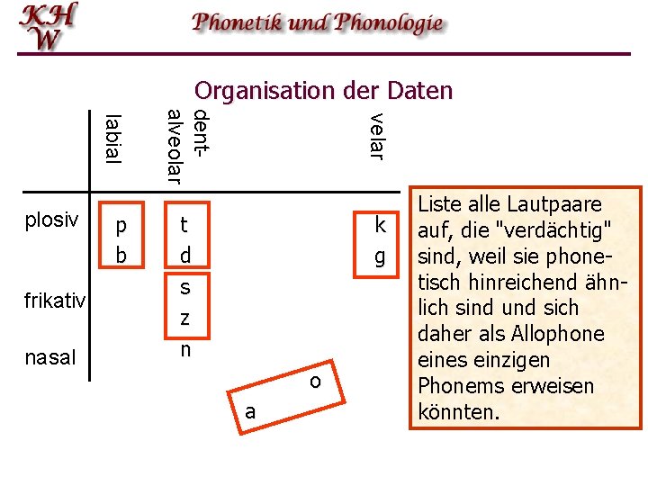 Organisation der Daten nasal velar frikativ p b dentalveolar labial plosiv t d s