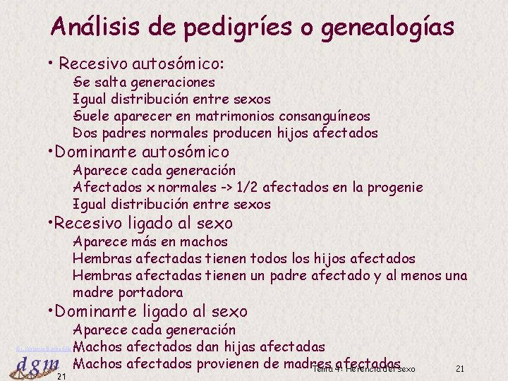 Análisis de pedigríes o genealogías • Recesivo autosómico: e salta generaciones S Igual distribución